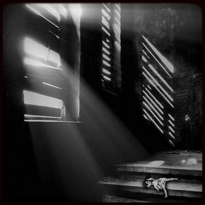 window