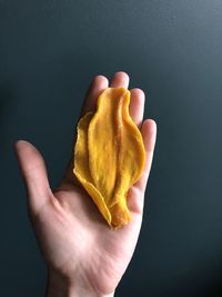 Cropped hand of person holding yellow flower against black background