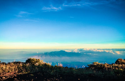 Scenic view of landscape against blue sky
