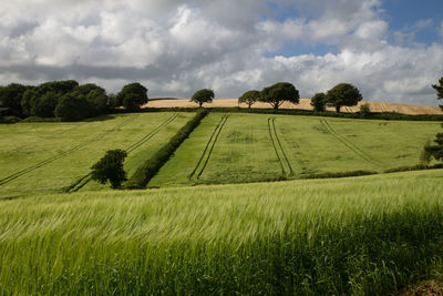 Scenic view of farm against sky