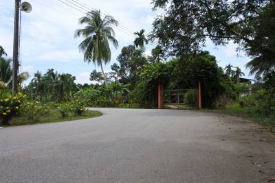 Road amidst trees against sky