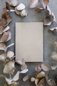 High angle view of shells on table