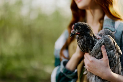 Close-up of woman holding bird