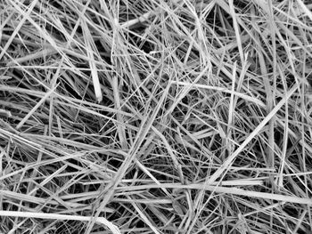 Full frame shot of hay bales on field