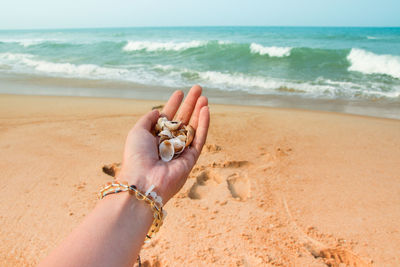 Cropped hand holding seashells at beach