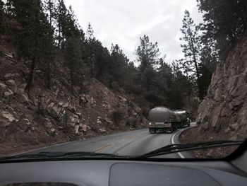 Road passing through forest