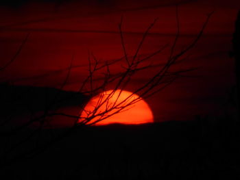 Silhouette bare tree against orange sky