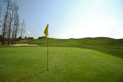 High angle view of golf ball reaching hole