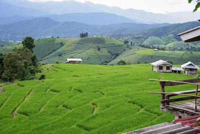 Scenic view of agricultural field by houses and mountains