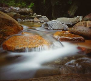 Scenic view of waterfall