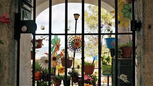 Plants seen through glass window of building