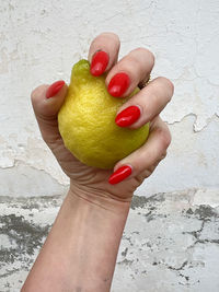 fruit