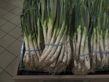 High angle view of vegetables for sale in market