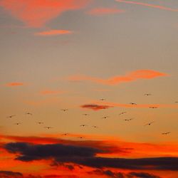 Scenic view of sunset sky