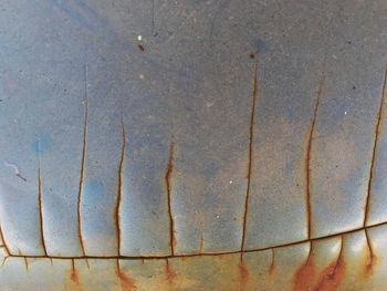 Full frame shot of paving stone