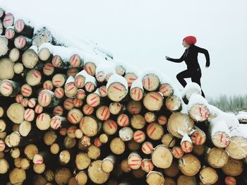 Full length of woman standing on logs