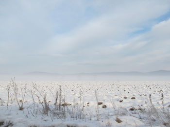 Scenic view of lake against sky during winter