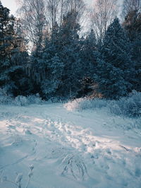 snow