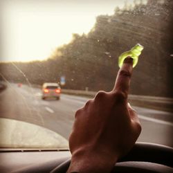 transportation