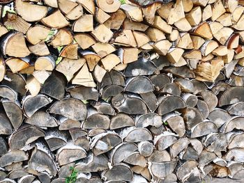 Full frame shot of logs in forest