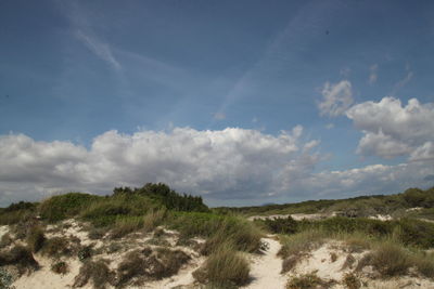 Scenic view of land against sky