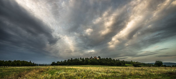 Scenic view of field against sky