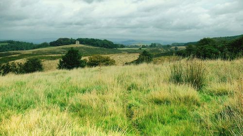 Scenic view of grassy field against cloudy sky