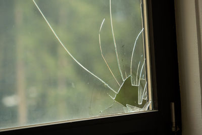 Close-up of spider web on glass window