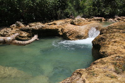 Scenic view of river flowing through rocks in forest