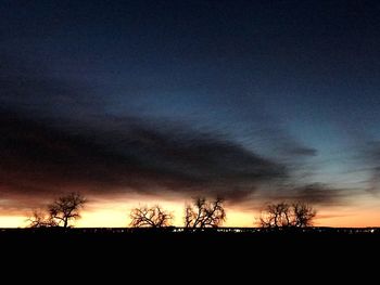 Silhouette bare trees on field against sky at sunset