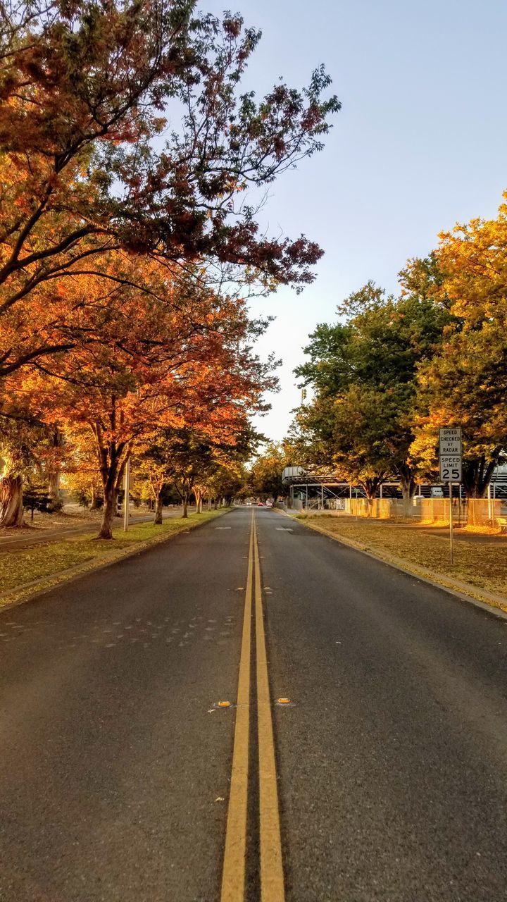 EMPTY ROAD ALONG TREES AND AUTUMN LEAVES