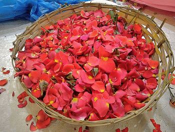 High angle view of red flowers in basket for sale