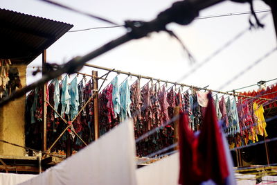 Laundry is drying in the world's biggest outdoor laundry in dhobi ghat in mumbai india