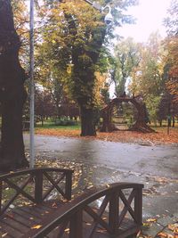 Trees in park during autumn