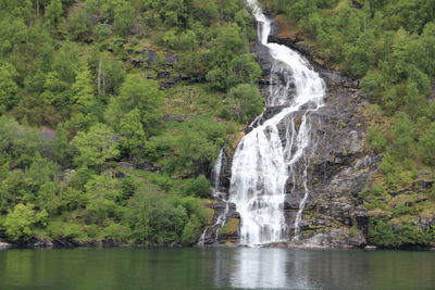 Scenic view of waterfall in forest