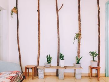 Potted plants on tables against wall