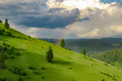 Scenic view of green landscape against sky