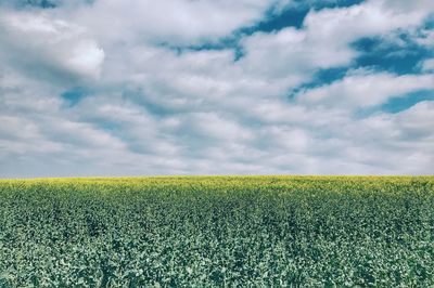 Scenic view of field against cloudy sky