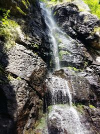 Low angle view of waterfall in forest