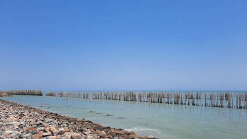 Wooden posts in sea against clear blue sky