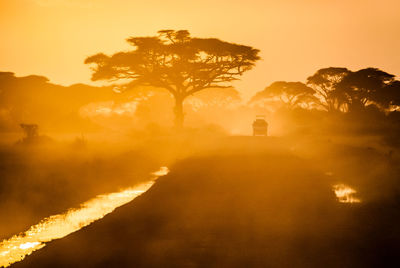 Silhouette tree against sky during sunset