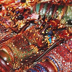 Full frame shot of tiled floor