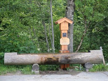 Bench by tree trunk in forest