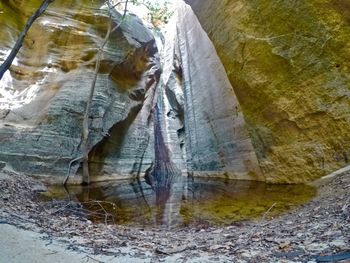 Close-up of rock in water