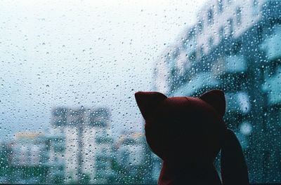 Shadow of person on wet window in rainy season