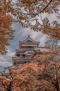 Low angle view of trees and building against sky