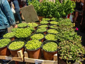 Vegetables for sale at market stall