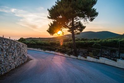 Road by trees against sky during sunset