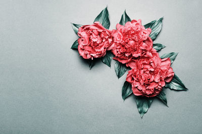 High angle view of flowers on table