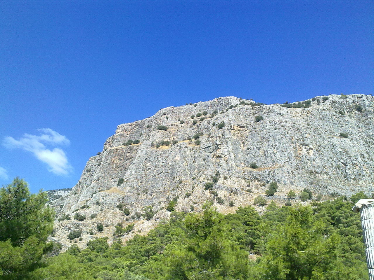 blue, clear sky, low angle view, copy space, tree, tranquility, nature, beauty in nature, tranquil scene, sky, rock formation, scenics, mountain, growth, day, rock - object, non-urban scene, outdoors, no people, sunlight